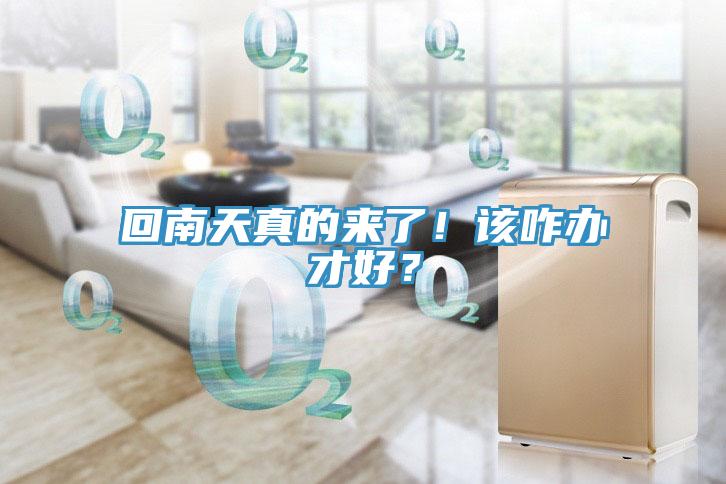回南天真的來了！該咋辦才好？