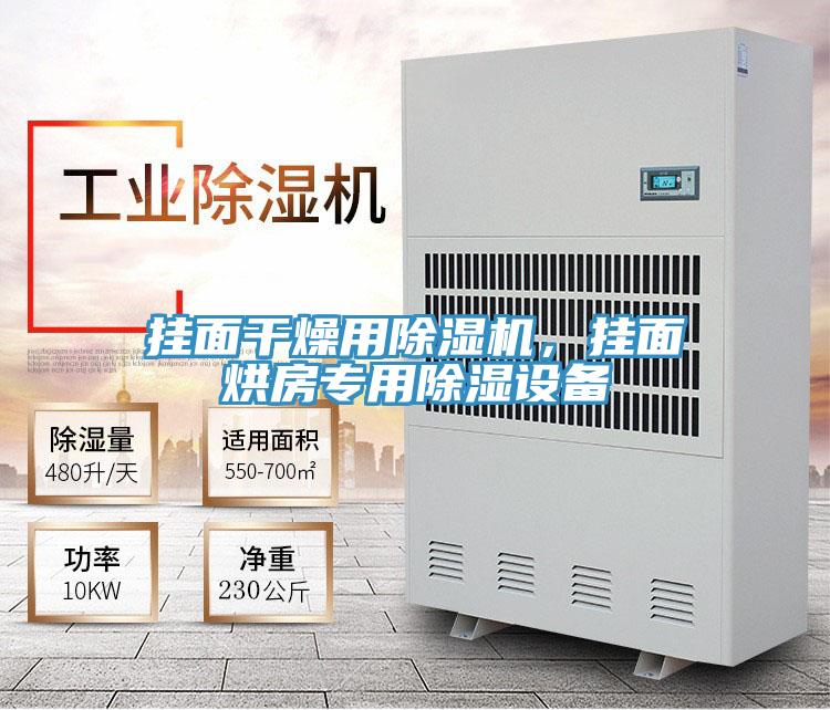 掛面干燥用除濕機(jī)，掛面烘房專用除濕設(shè)備
