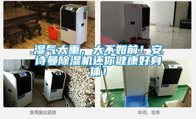 濕氣太重，大不如前！安詩曼除濕機(jī)還你健康好身體！