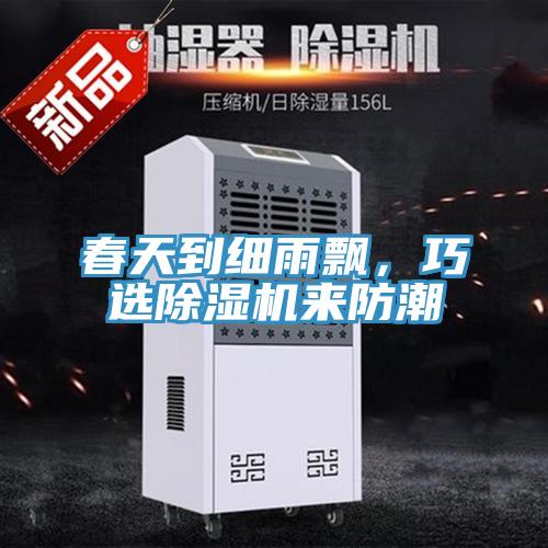 春天到細雨飄，巧選除濕機來防潮
