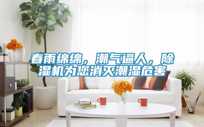 春雨綿綿，潮氣逼人，除濕機為您消滅潮濕危害