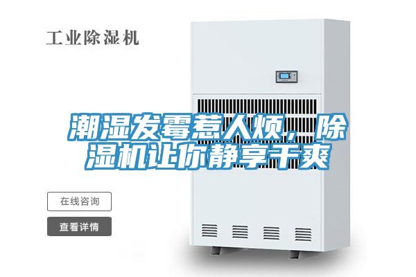 潮濕發(fā)霉惹人煩，除濕機(jī)讓你靜享干爽