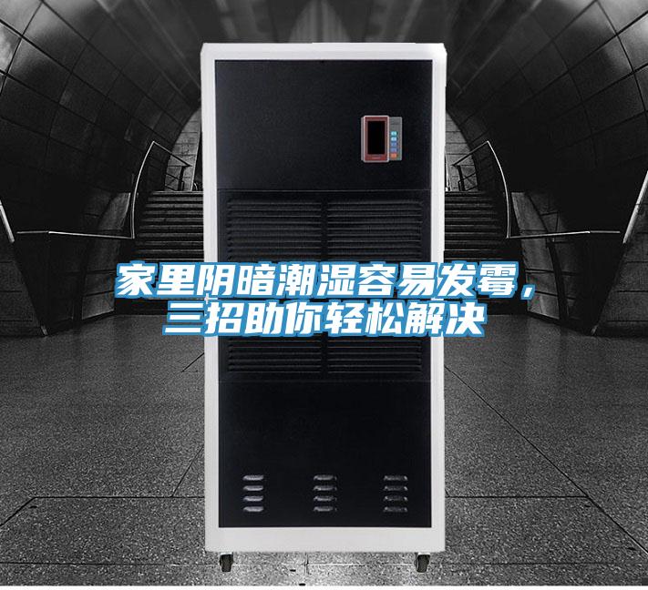 家里陰暗潮濕容易發(fā)霉，三招助你輕松解決