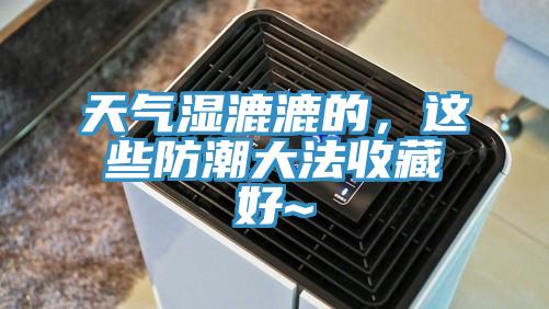 天氣濕漉漉的，這些防潮大法收藏好~