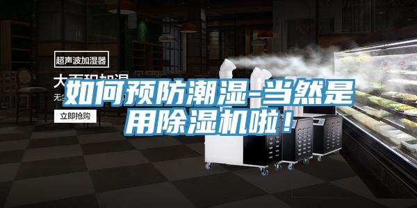 如何預(yù)防潮濕-當(dāng)然是用除濕機(jī)啦！