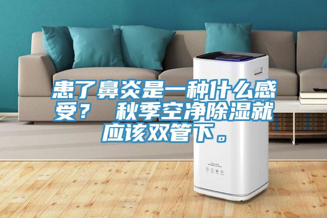 患了鼻炎是一種什么感受？ 秋季空凈除濕就應(yīng)該雙管下。