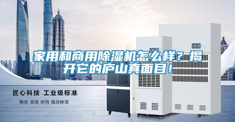 家用和商用除濕機怎么樣？揭開它的廬山真面目！