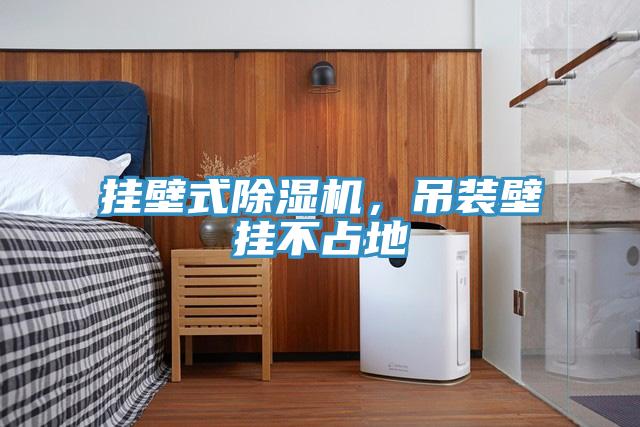 掛壁式除濕機(jī)，吊裝壁掛不占地