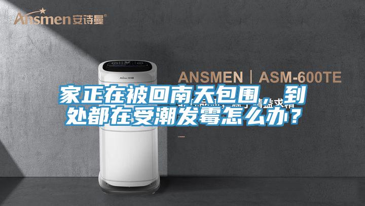 家正在被回南天包圍，到處都在受潮發(fā)霉怎么辦？