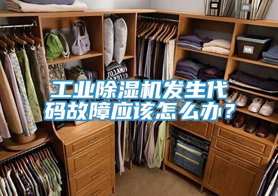 工業(yè)除濕機(jī)發(fā)生代碼故障應(yīng)該怎么辦？