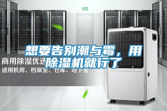 想要告別潮與霉，用除濕機就行了