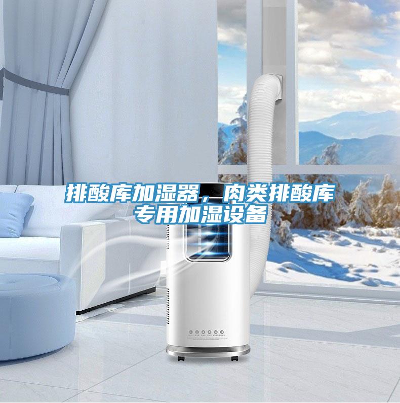 排酸庫加濕器，肉類排酸庫專用加濕設(shè)備