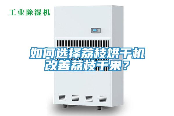 如何選擇荔枝烘干機(jī)改善荔枝干果？