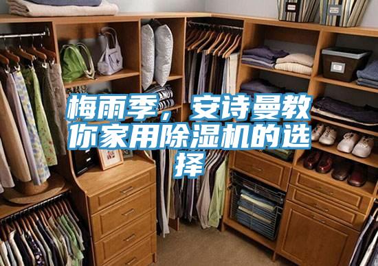 梅雨季，安詩曼教你家用除濕機的選擇