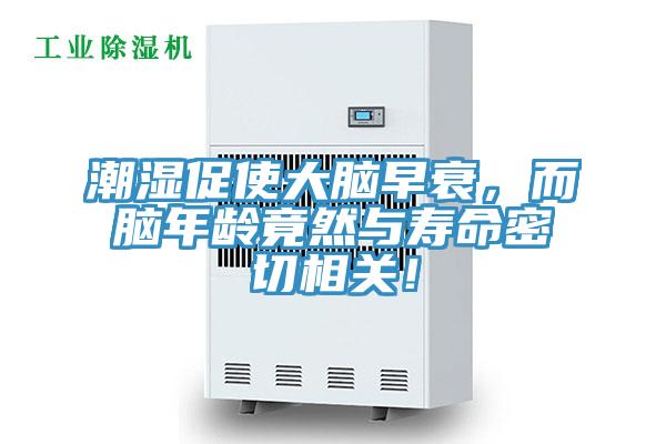 潮濕促使大腦早衰，而腦年齡竟然與壽命密切相關(guān)！