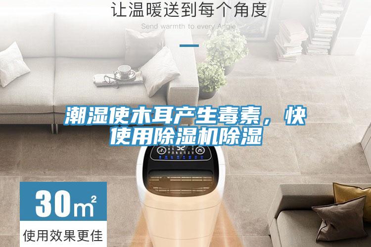 潮濕使木耳產(chǎn)生毒素，快使用除濕機(jī)除濕