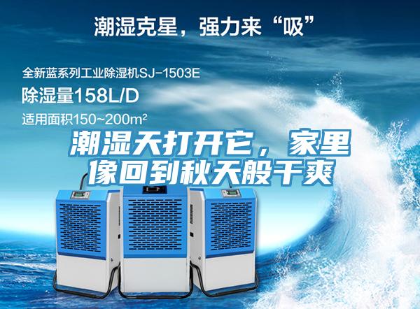 潮濕天打開它，家里像回到秋天般干爽