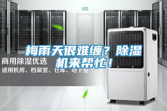 梅雨天很難纏？除濕機(jī)來(lái)幫忙！