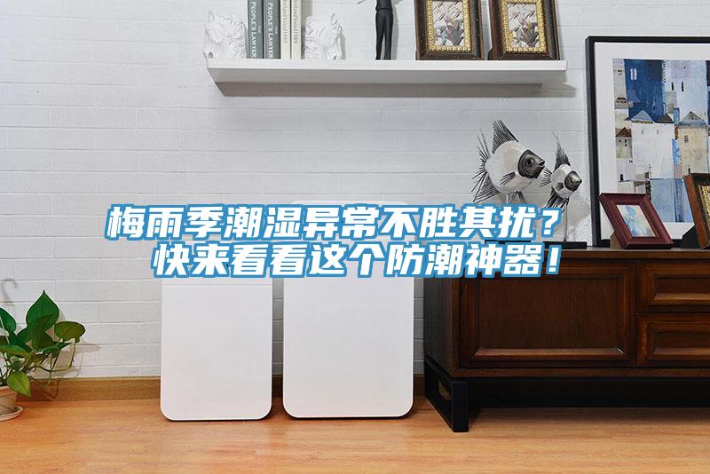 梅雨季潮濕異常不勝其擾？ 快來(lái)看看這個(gè)防潮神器！
