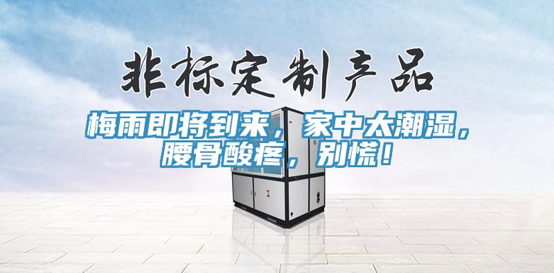 梅雨即將到來，家中太潮濕，腰骨酸疼，別慌！