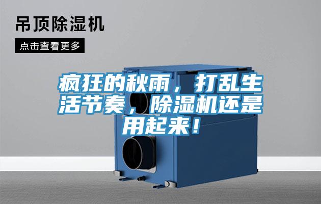 瘋狂的秋雨，打亂生活節(jié)奏，除濕機(jī)還是用起來！