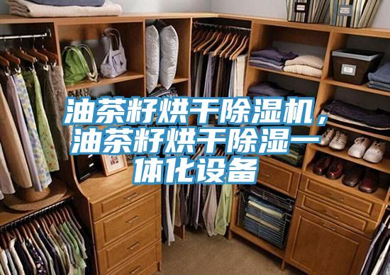 油茶籽烘干除濕機(jī)，油茶籽烘干除濕一體化設(shè)備