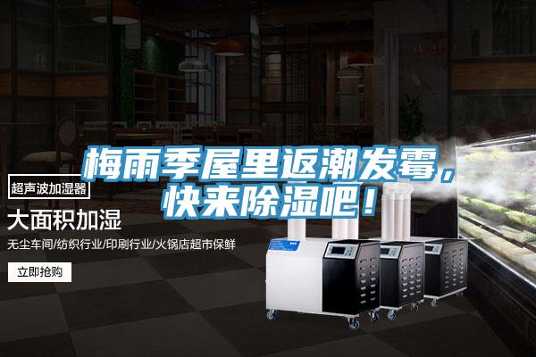 梅雨季屋里返潮發(fā)霉，快來除濕吧！