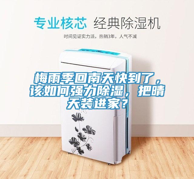 梅雨季回南天快到了，該如何強力除濕，把晴天裝進家？