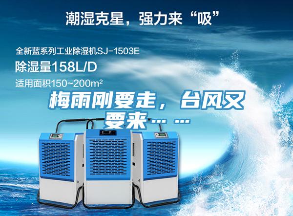 梅雨剛要走，臺風(fēng)又要來……