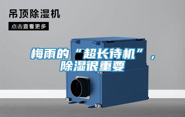 梅雨的“超長待機(jī)”，除濕很重要