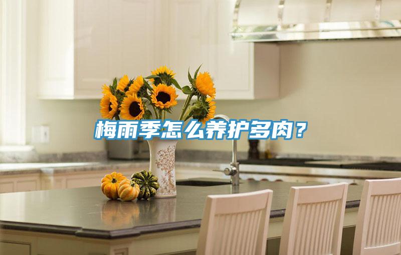 梅雨季怎么養(yǎng)護多肉？