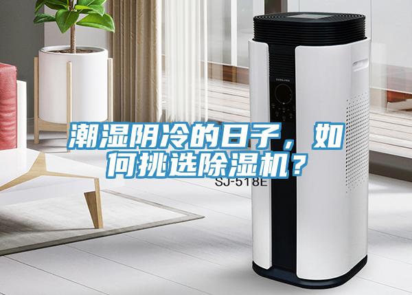 潮濕陰冷的日子，如何挑選除濕機(jī)？