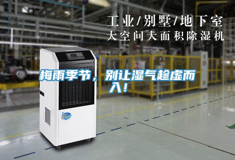 梅雨季節(jié)，別讓濕氣趁虛而入！