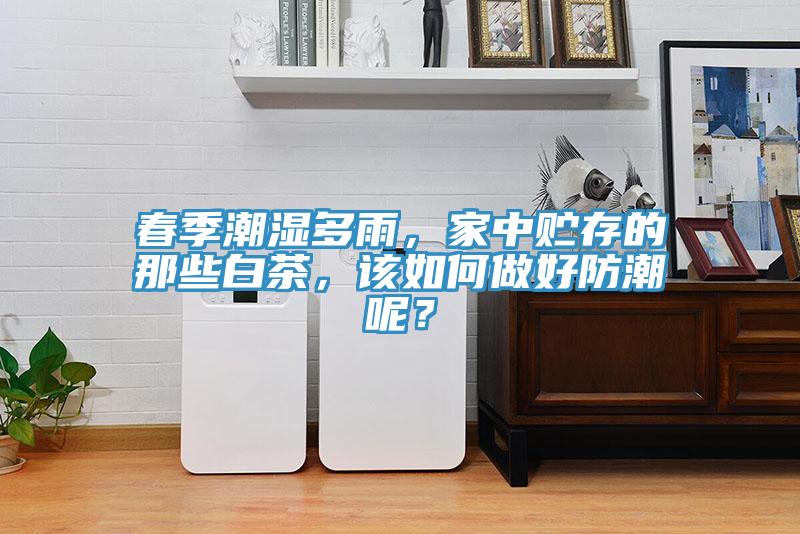 春季潮濕多雨，家中貯存的那些白茶，該如何做好防潮呢？