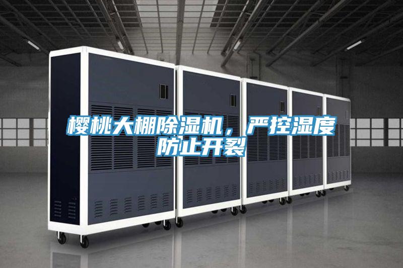 櫻桃大棚除濕機(jī)，嚴(yán)控濕度防止開(kāi)裂