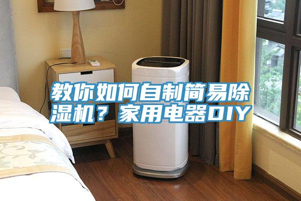 教你如何自制簡易除濕機？家用電器DIY