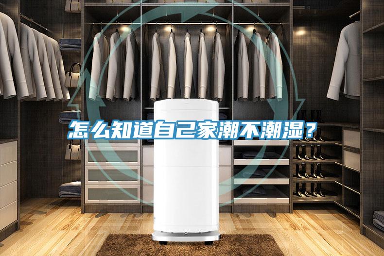 怎么知道自己家潮不潮濕？