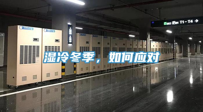 濕冷冬季，如何應(yīng)對(duì)