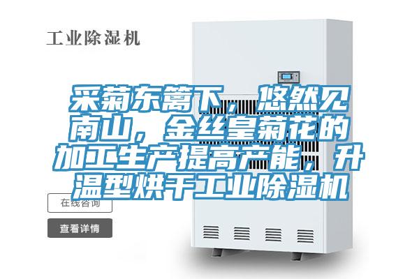 采菊東籬下，悠然見南山，金絲皇菊花的加工生產(chǎn)提高產(chǎn)能，升溫型烘干工業(yè)除濕機(jī)