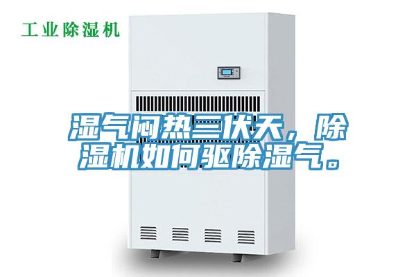 濕氣悶熱三伏天，除濕機(jī)如何驅(qū)除濕氣。
