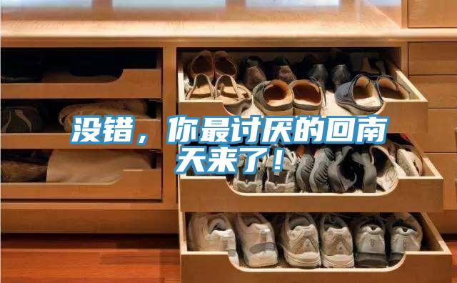 沒錯，你最討厭的回南天來了！