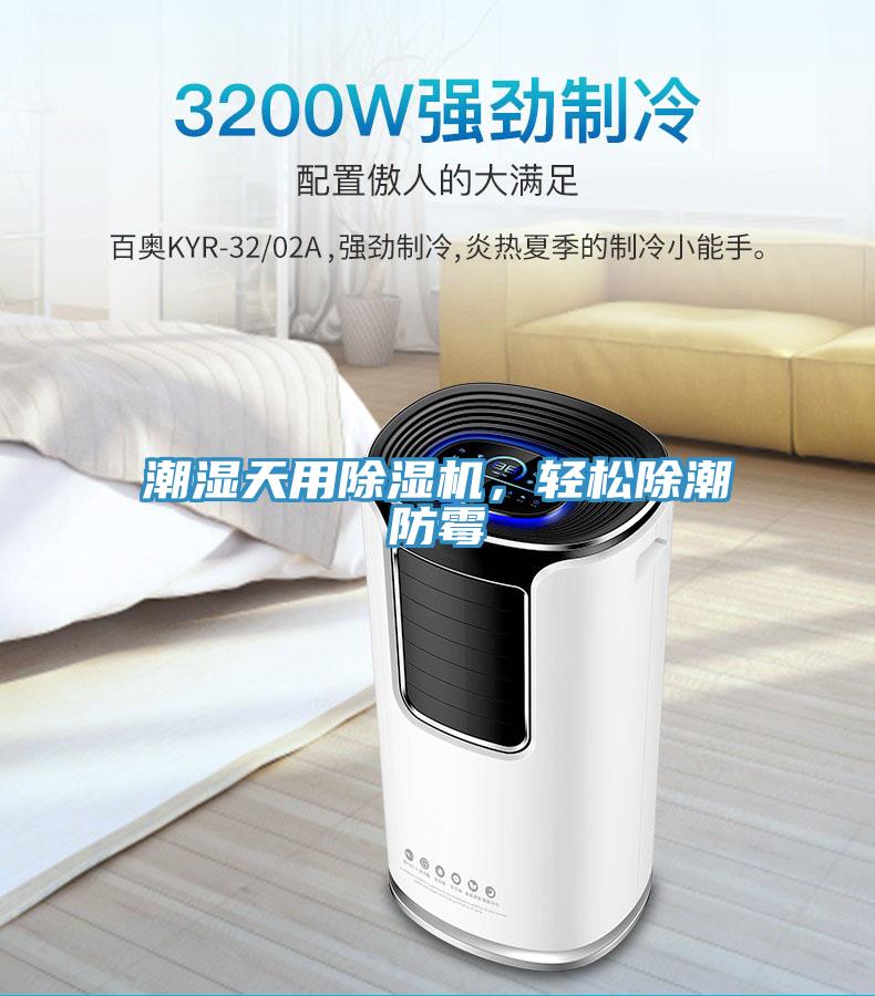 潮濕天用除濕機(jī)，輕松除潮防霉