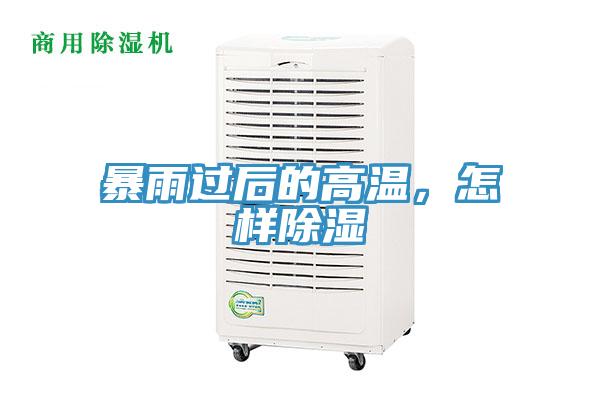 暴雨過后的高溫，怎樣除濕