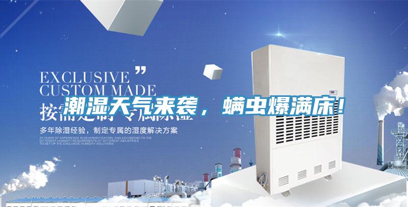 潮濕天氣來(lái)襲，螨蟲爆滿床！