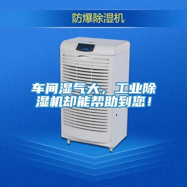 車間濕氣大，工業(yè)除濕機卻能幫助到您！