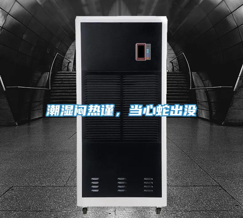 潮濕悶熱謹，當心蛇出沒