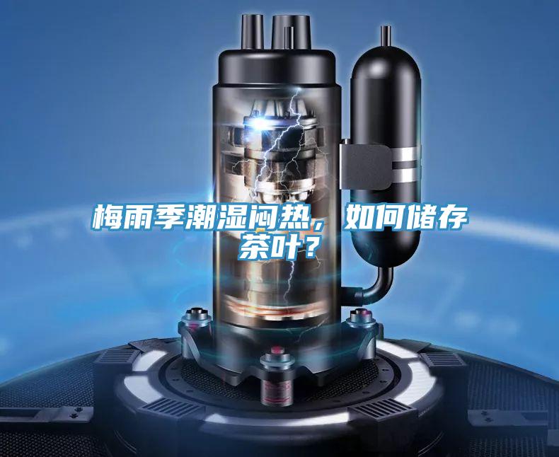 梅雨季潮濕悶熱，如何儲(chǔ)存茶葉？