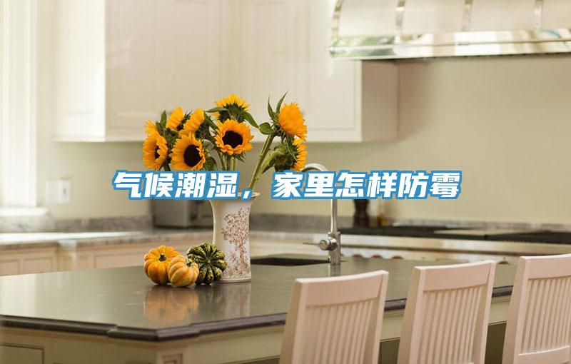 氣候潮濕，家里怎樣防霉