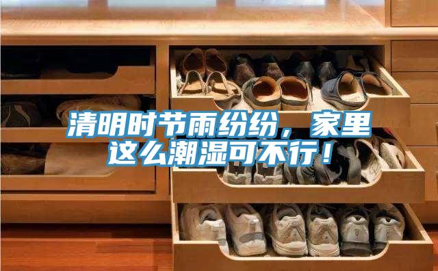 清明時(shí)節(jié)雨紛紛，家里這么潮濕可不行！