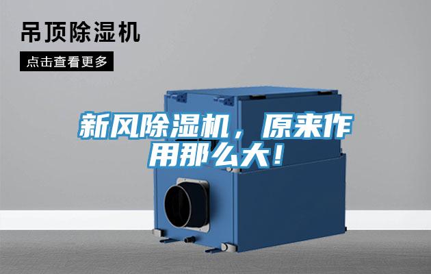 新風(fēng)除濕機(jī)，原來(lái)作用那么大！